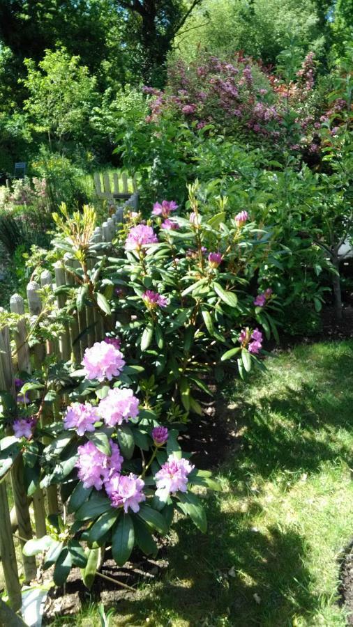 Bed and Breakfast Les Muscaris Le Minihic-sur-Rance Экстерьер фото